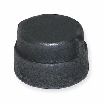 GRAINGER APPROVED Round Cap Malleable Iron 2 in FNPT, 1LCA2