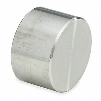 GRAINGER APPROVED Round Cap 304 SS 2 in Class 3000, 1LUB7