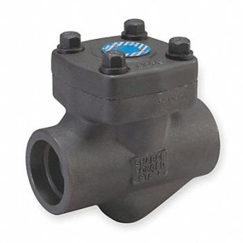 GRAINGER APPROVED Check Valve Carbon Steel 2 Socket, 1PPN4