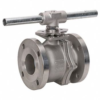 GRAINGER APPROVED SS Ball Valve Flanged 3 in, 1PPT8