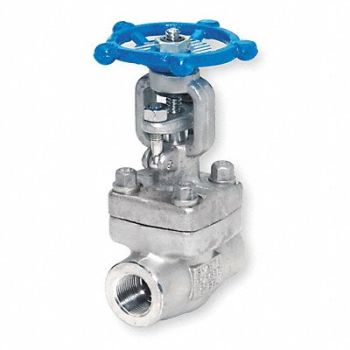 GRAINGER APPROVED Gate Valve Class 800 2 in FNPT, 1PRJ9