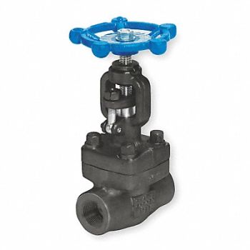 GRAINGER APPROVED Globe Valve 2 Steel FNPT 1975 psi, 1PRL5