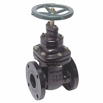 WATTS Gate Valve Class 125 3 in Flange, 1RCY6