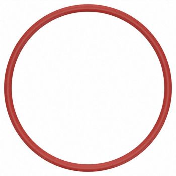 GRAINGER APPROVED O-Ring Dash 124 Silicone 0.1 in PK25, 1REL5