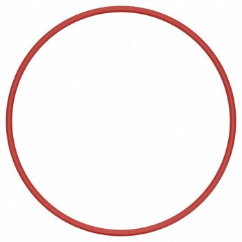 GRAINGER APPROVED O-Ring Dash 361 Silicone 0.21 in PK5, 1RFL7