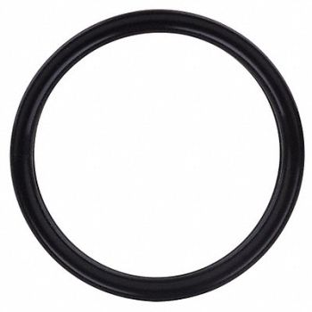 GRAINGER APPROVED O-Ring Dash 122 Viton 0.1 in PK10, 1RGV4