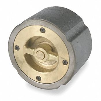 SSI Silent Check Valve Cast Iron 8 Flange, 1RXG8