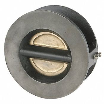 SSI Double Disc Check Valve SS 10 Flange, 1RXL4