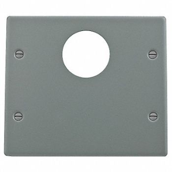 HUBBELL WIRING DEVICE-KELLEMS Plate 4000 Series Raceway Plates, 1RYT2