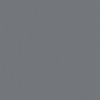 RUST-OLEUM F8747 Performance Coating Navy Gray 1 gal Can, 1TBG1
