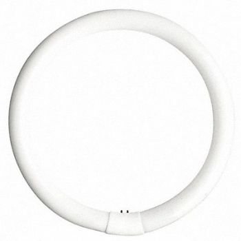 CURRENT Circular FLUOR Bulb T9 1-1/4 Dia 22W, 1V860