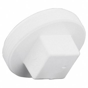 GRAINGER APPROVED Cleanout Plug Schedule 40 3 in MNPT, 1WKH8