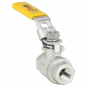GRAINGER APPROVED SS Ball Valve FNPT 1/4, 1WMX9