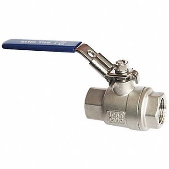 GRAINGER APPROVED SS Ball Valve FNPT 3, 1WMY9