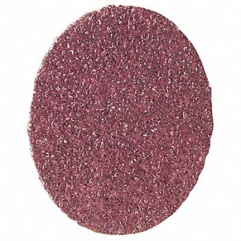 NORTON Quick-Change Sand Disc 2 in Dia TR PK100, 1YFH6