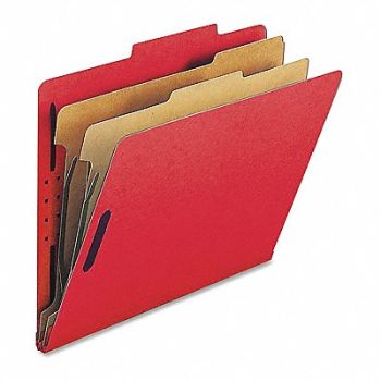 Nature Saver Classification Folders PK10, 203R35