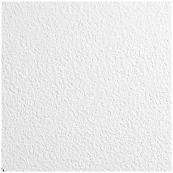 ARMSTRONG Ceiling Tile 24 in L 24 in W PK16, 20CA77