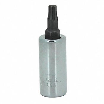 SK PROFESSIONAL TOOLS Socket Bit Steel 1/4 in TpSz T10, 20K341