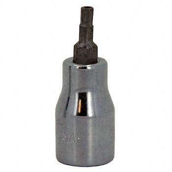 SK PROFESSIONAL TOOLS Socket Bit Steel 3/8 in TpSz T50, 20K354