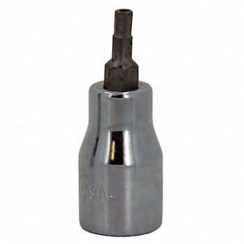 SK PROFESSIONAL TOOLS Socket Bit Steel 3/8 in TpSz T55, 20K355