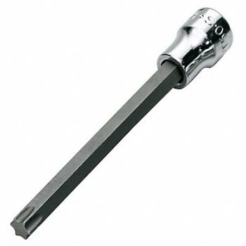 SK PROFESSIONAL TOOLS Socket Bit Steel 3/8 in TpSz T30, 20K825