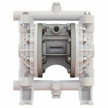 VERSA-MATIC Dbl DphrmPmp FNPT PTFE/PP 3/8in 10gpm, 20LR24