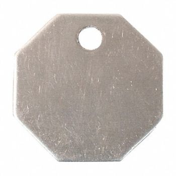 C.H. HANSON Blank Tag SS 1 1/2in H 1 1/2in W PK10, 20LT98