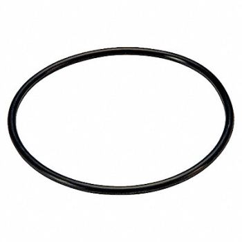 JOHNSON CONTROLS O-Ring Kit For Use with D-3062, 20RF88