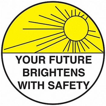 BRADY Hard Hat Emblem Label 2in. Dia Vinyl, 20RY71