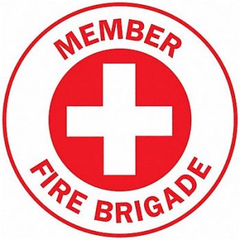 BRADY Hard Hat Emblem Labl 2in. Dia Vinyl PK4, 20RZ53