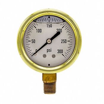 PIC GAUGES Pressure Gauge 1/4 in NPT 2-1/2 in, 20TY18