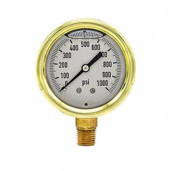 PIC GAUGES Pressure Gauge 1/4 in NPT 2-1/2 in, 20TY20