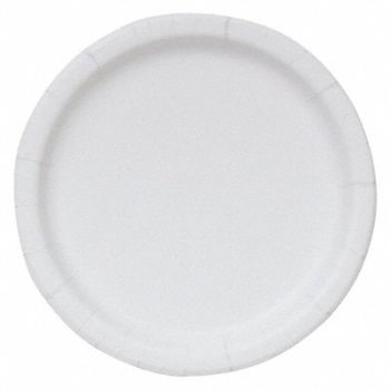 GRAINGER APPROVED Disposable Paper Plate 8 1/2 in WH PK250, 20VG83