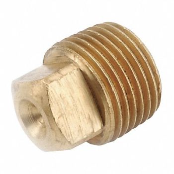 GRAINGER APPROVED Square Head Plug Brass 3/4 in MNPT, 20XN72