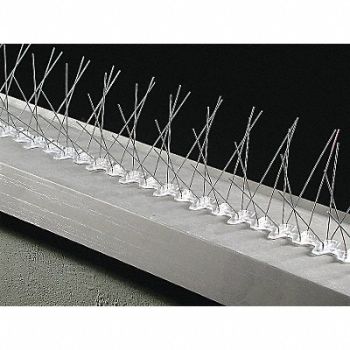 BIRD BARRIER Bird Repellent Spikes Bird-Flite 50 ft., 20YR33
