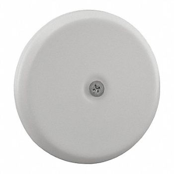 JONES STEPHENS Cleanout Cover Plate White Flat 7-1/4, 217N08