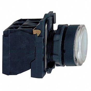 SCHNEIDER ELECTRIC Pilot Light LED 120V White, 21AG59