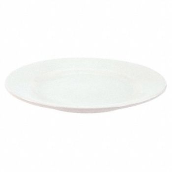 CRESTWARE Plate 12 in Bright White PK12, 21D216