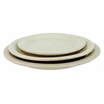 CRESTWARE Plate 9-5/8 in Bone White PK24, 21D305