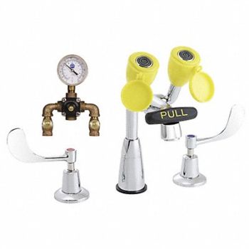 SPEAKMAN Eye/Face Wash Station Counter Chrome, 21YG71