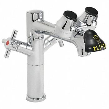 SPEAKMAN Eye/Face Wash Station Counter Chrome, 21YG75