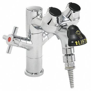 SPEAKMAN Eye/Face Wash Station Counter Chrome, 21YG80