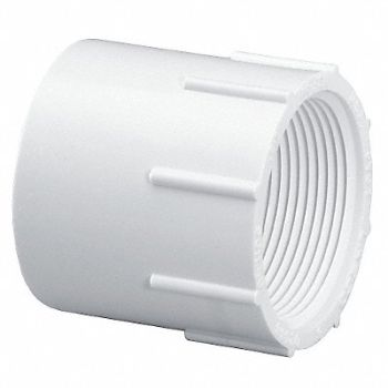 GRAINGER APPROVED Female Adapter 8 in Schedule 40 White, 22FM29