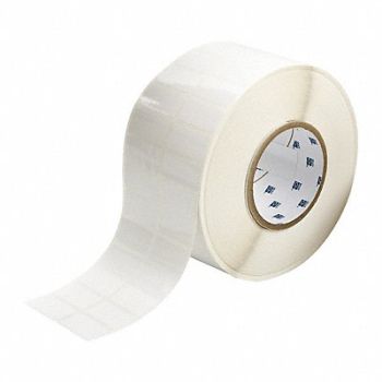 BRADY Therm Transfer Label Poly 0.75x1.5, 22MX57