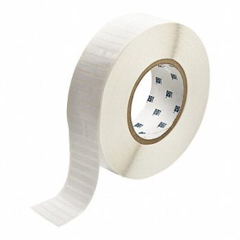 BRADY Therm Transfer Label Poly 0.25x1.5, 22MX62