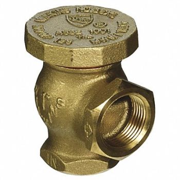 ZURN WILKINS Vacuum Breaker 2 in FNPT x FNPT 125 psi, 22N565