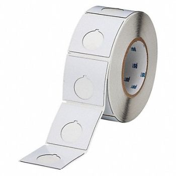 BRADY Therm Transfer Label Poly 2.4x2.4, 22NA03