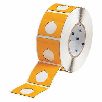 BRADY Therm Transfer Label Poly 2.4x2.4, 22NA06