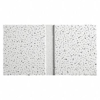 ARMSTRONG Ceiling Tile 48 in L 24 in W PK10, 22XJ42