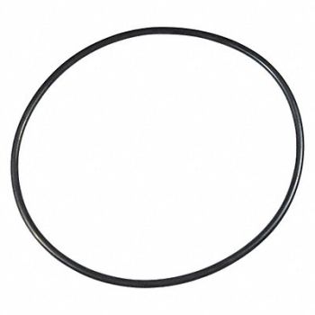 DAYTON Ss Pump O-Ring, 23CC36